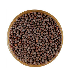 MUSTARD SEEDS<